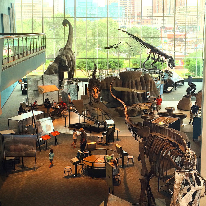 Federal Hill Day Trip Itinerary