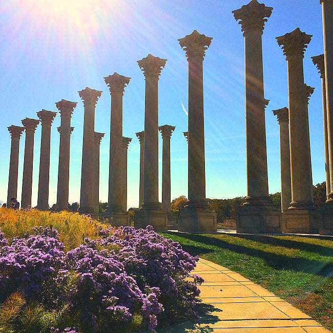 Cheverly-Arboretum Day Trip Itinerary