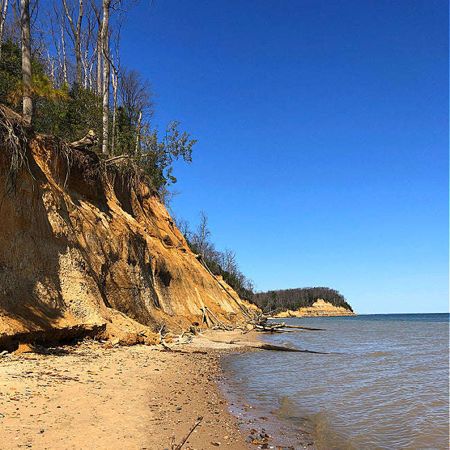 Calvert Cliffs Day Trip Itinerary