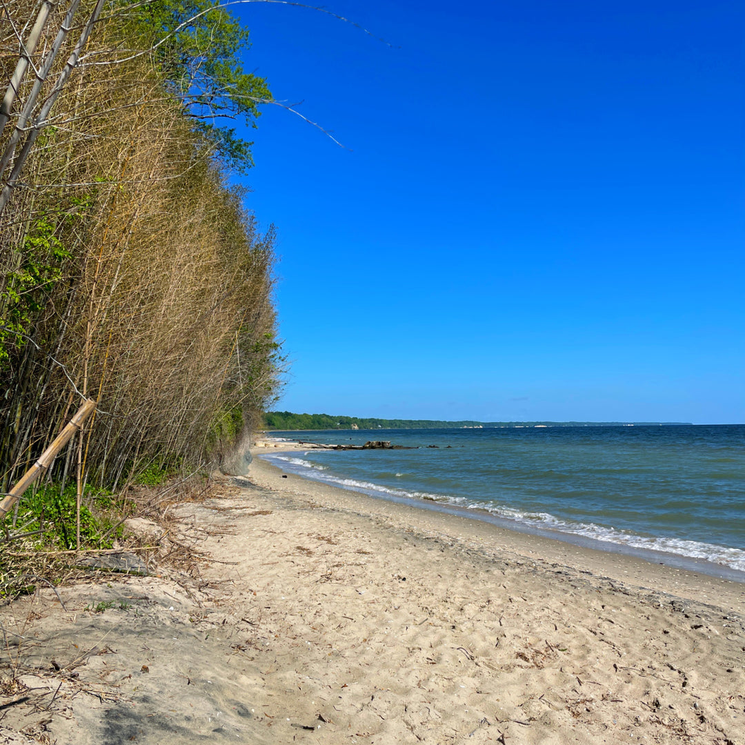 Matoaka Beach Day Trip Itinerary