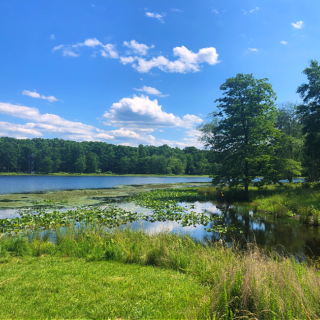 Patuxent Research Refuge Day Trip Itinerary