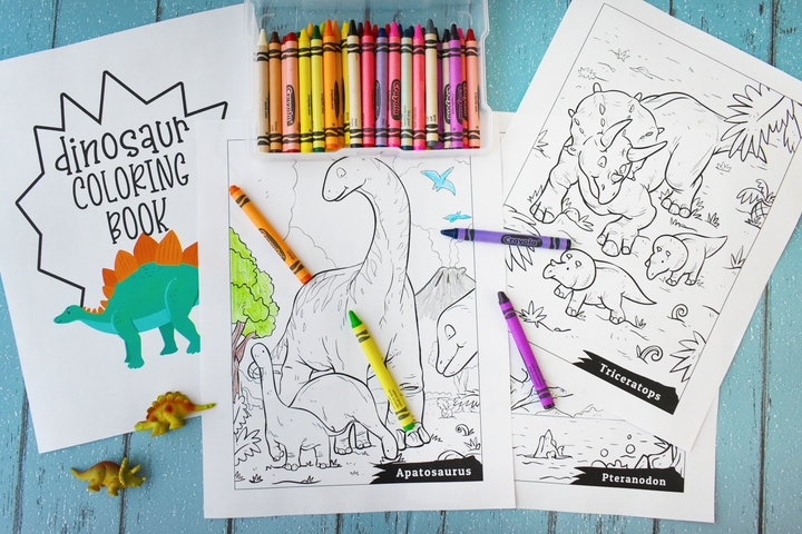 Dinosaur Coloring Book and Activity Pack Bundle