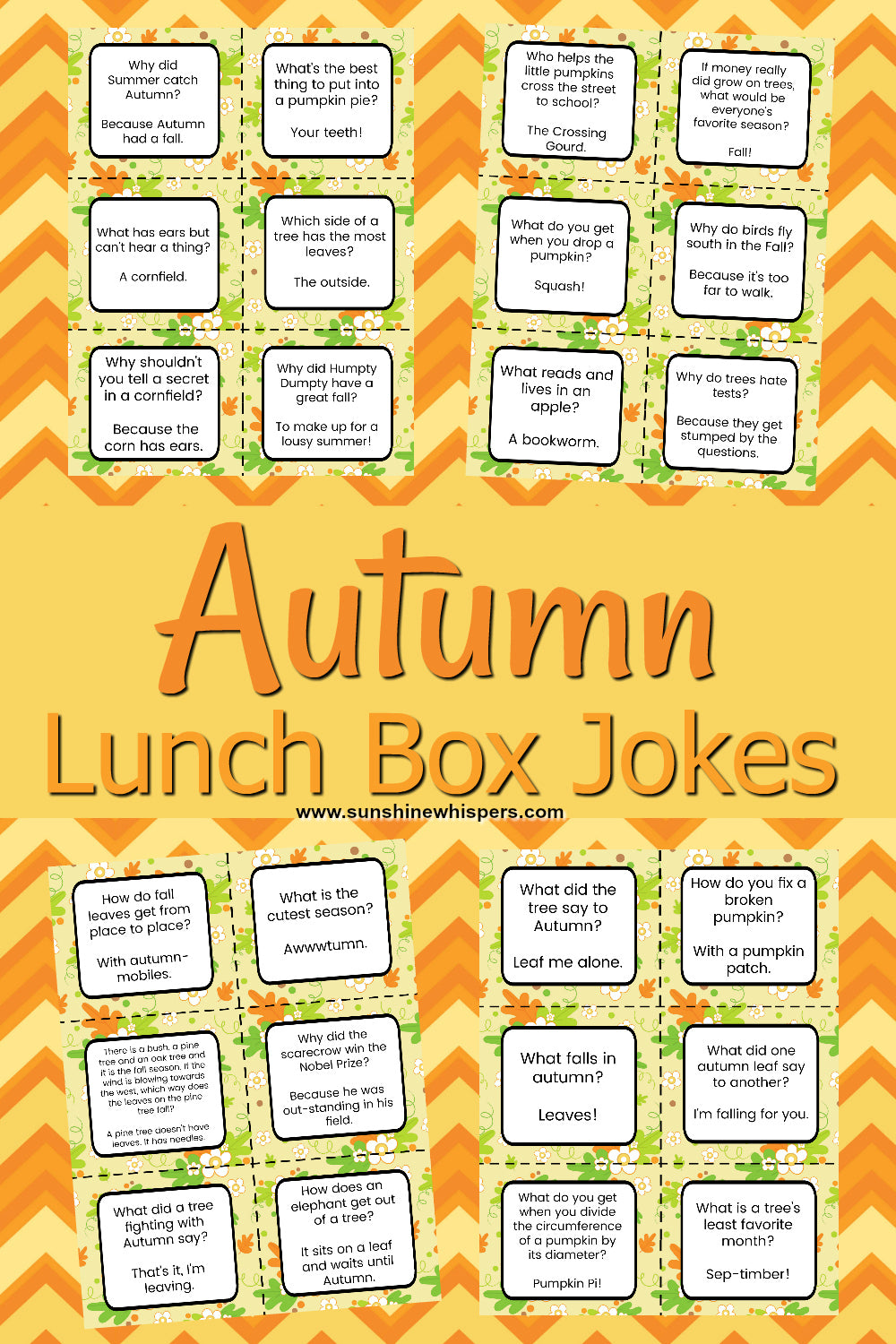 Lunch Box Notes and Jokes