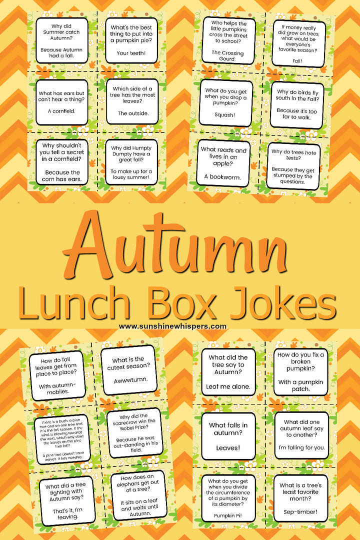 Lunch Box Notes and Jokes