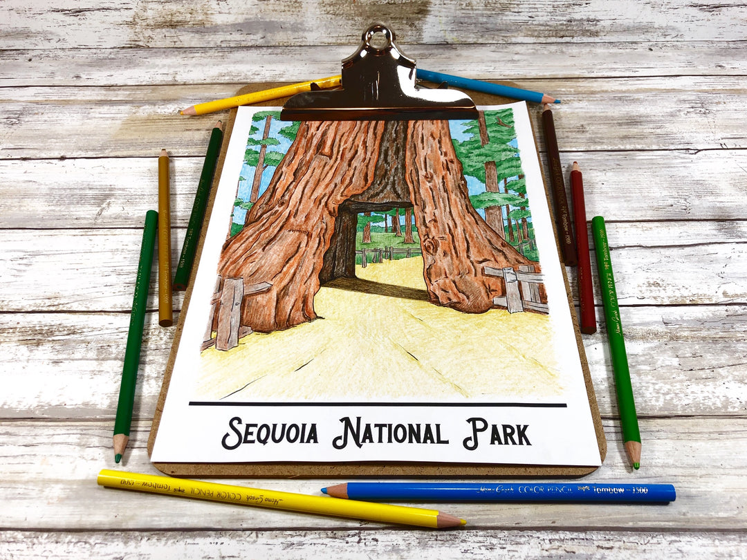 National Parks Coloring Book and Fine Art Prints