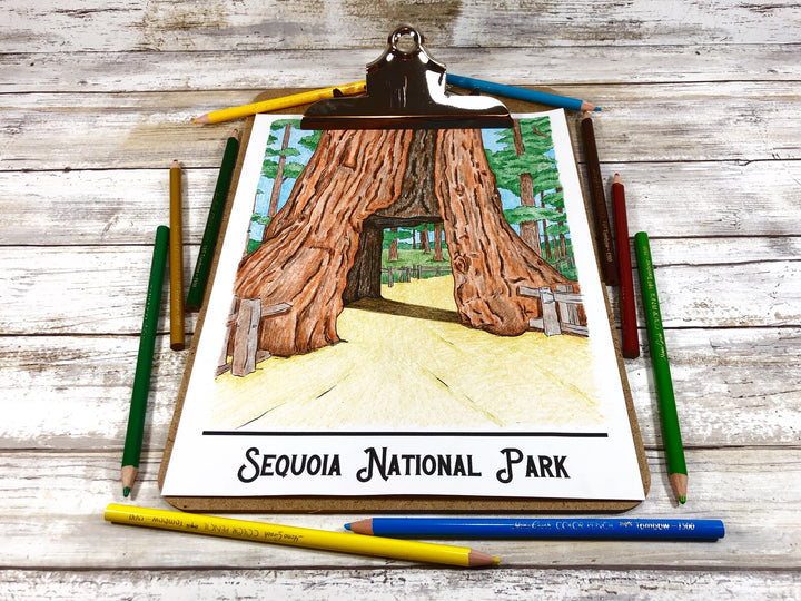 National Parks Coloring Book and Fine Art Prints