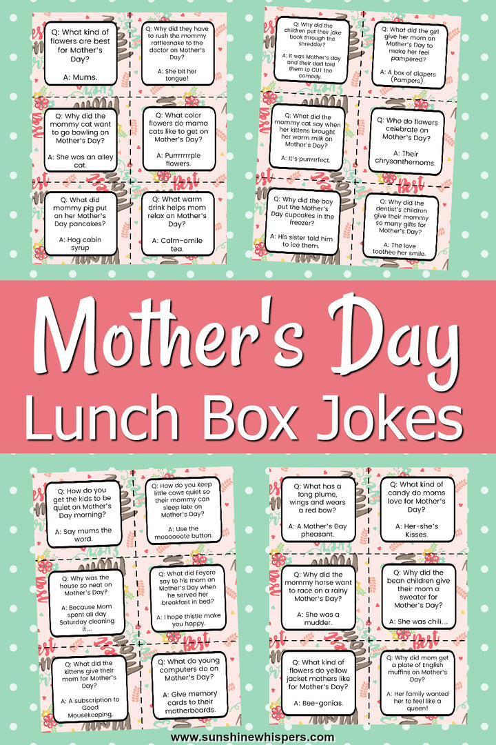 Lunch Box Notes and Jokes