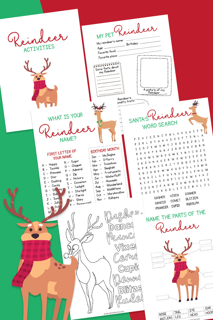 Reindeer Activity Pack