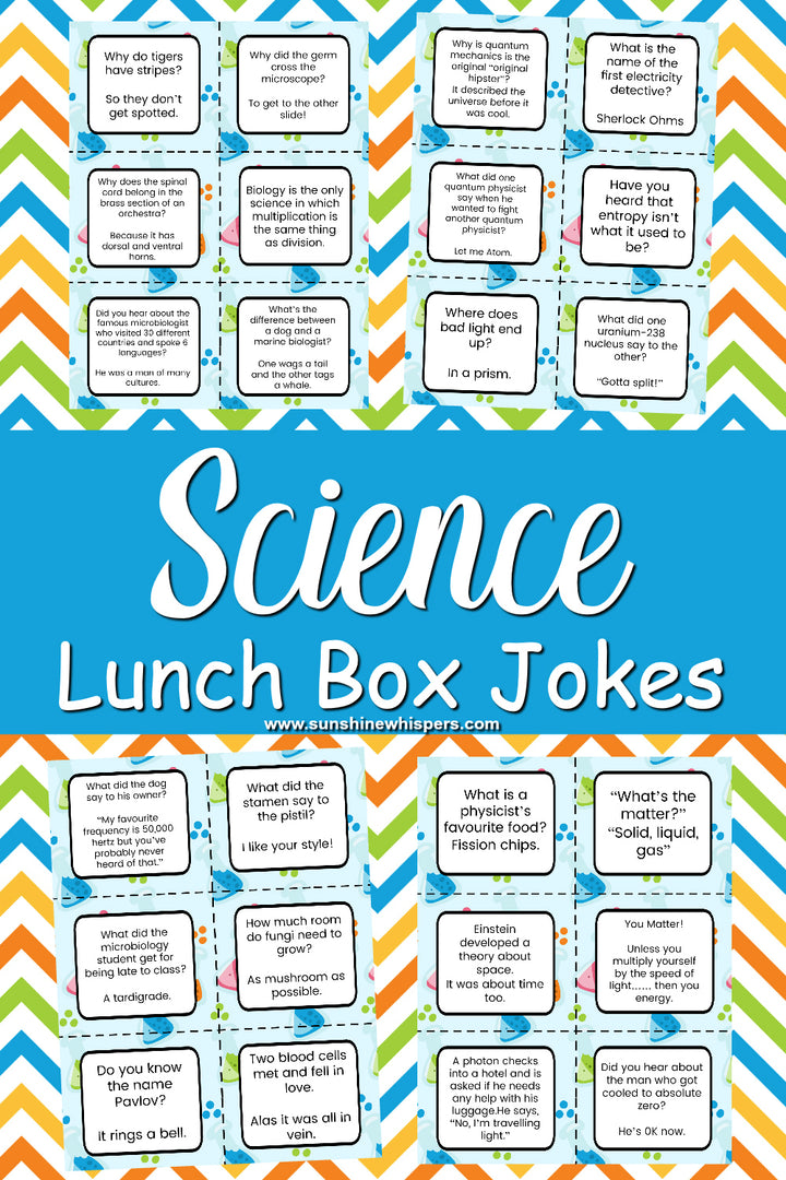 Lunch Box Notes and Jokes